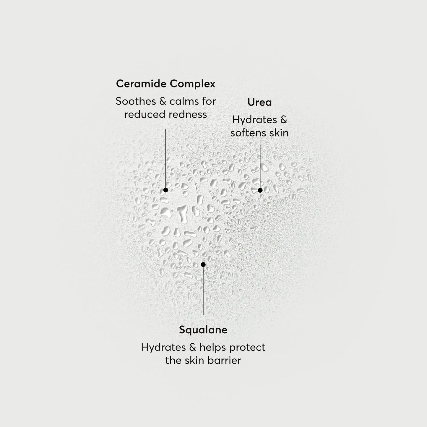 barrier-bounce-bi-phase-mist-x4 NATR-10167-Alt-Images-Barrier-Bounce-Bi-Phase-Toner-Mist_01.webp