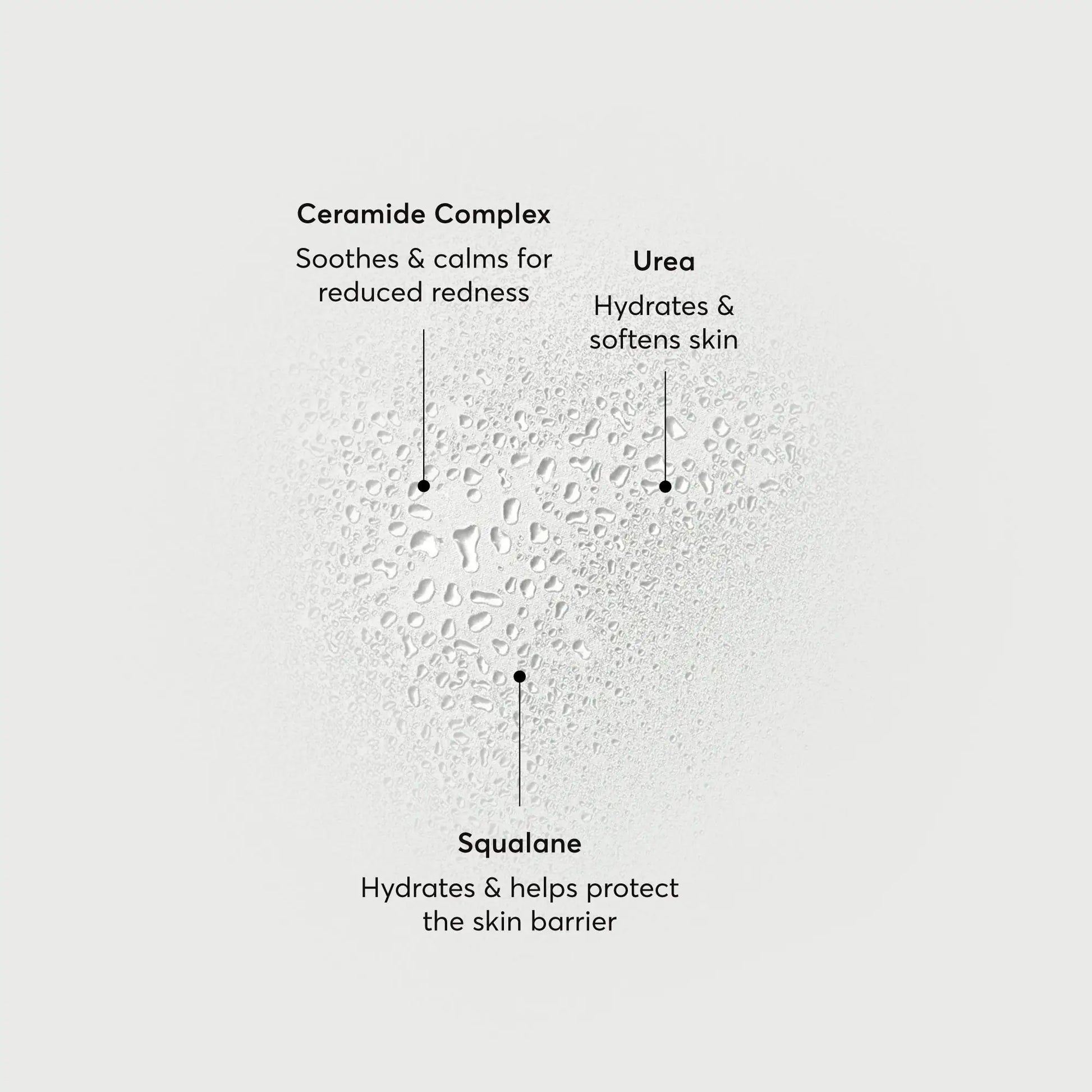 barrier-bounce-bi-phase-mist-x4 NATR-10167-Alt-Images-Barrier-Bounce-Bi-Phase-Toner-Mist_01.webp