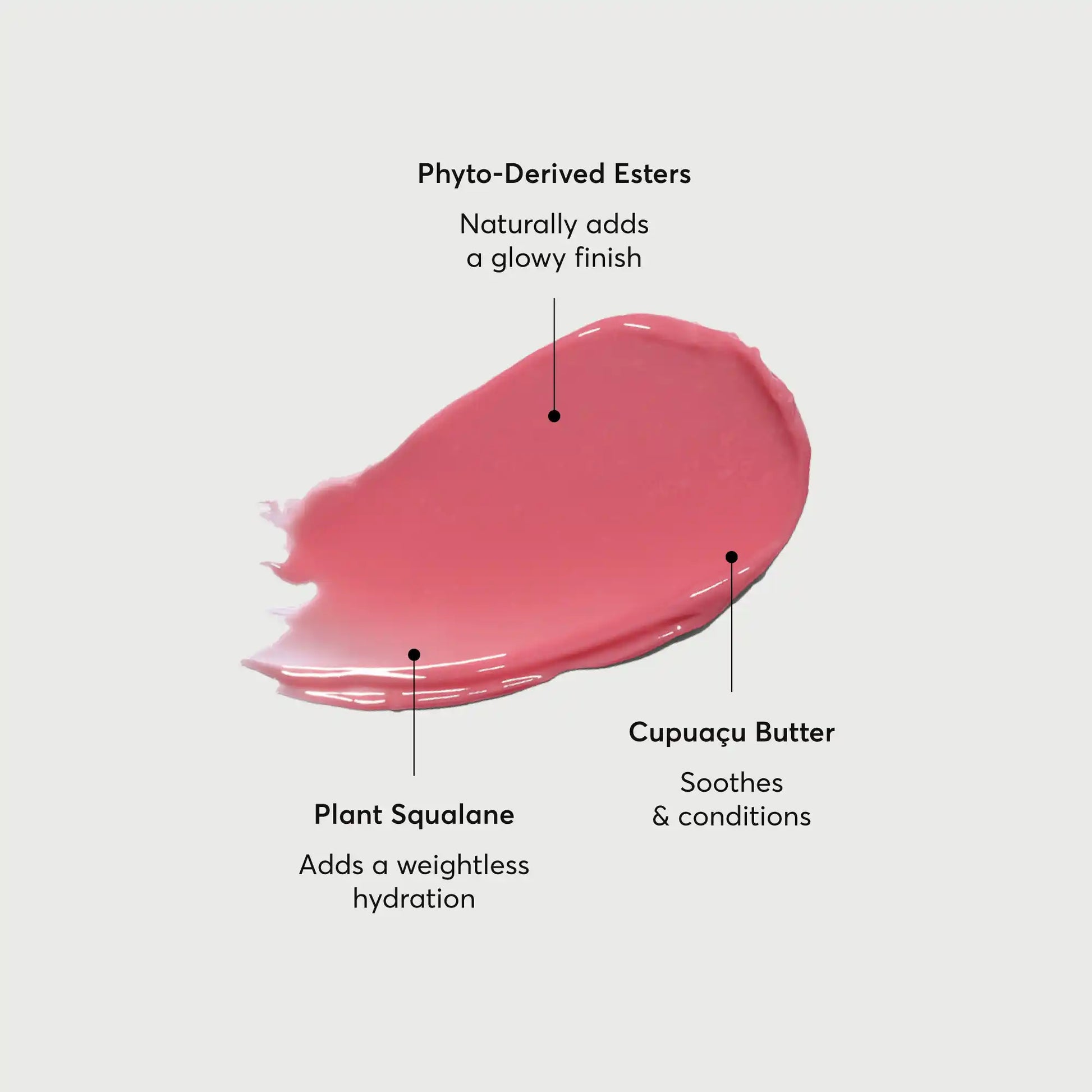 phyto-glow-lip-balm-petal-q8 NATR-60067-Alt-Images-Phyto-Glow-Lip-Balm-Petal-01.webp