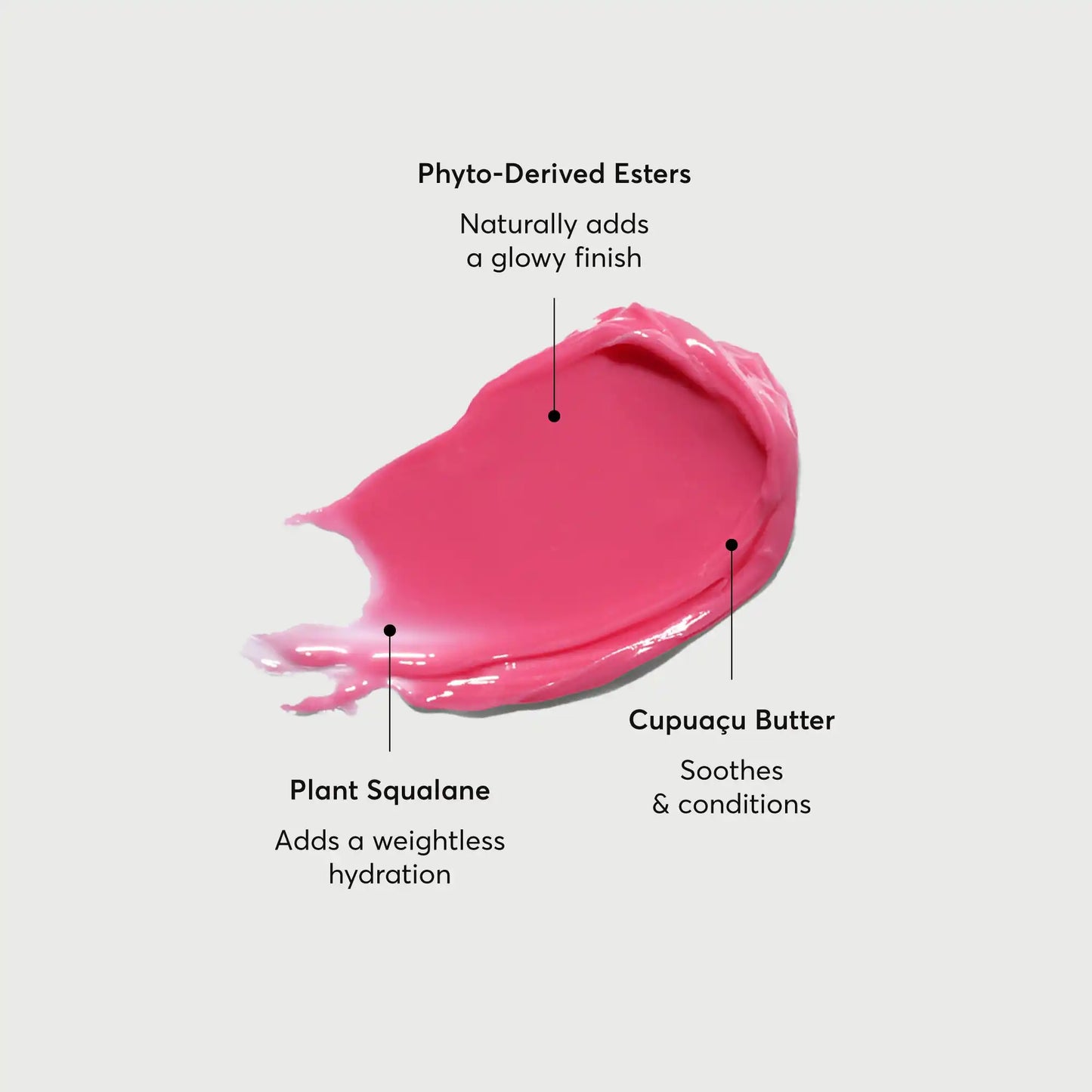 phyto-glow-lip-balm-camellia-p5 NATR-60075-Alt-Images-Phyto-Glow-Lip-Balm-Camellia-01.webp